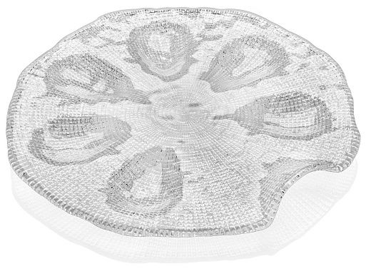 Блюдо для устриц Diamante