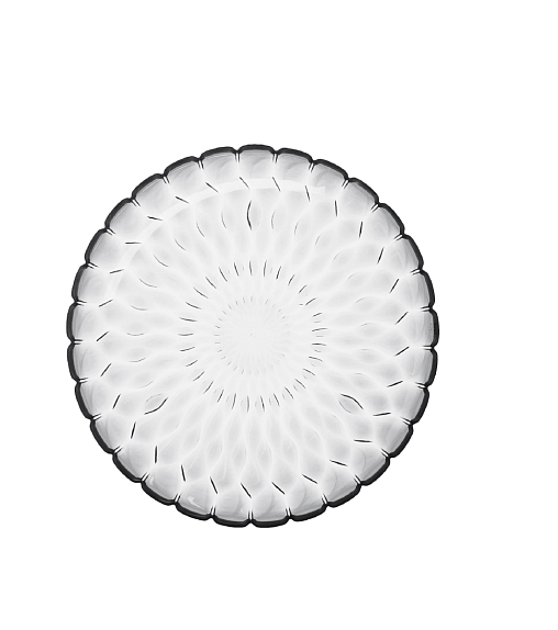 Пластиковое блюдо JELLY (прозрачное) 45 см